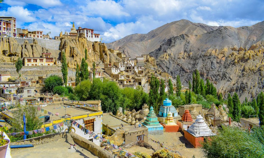 ladakh travel contact number